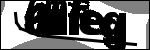 Testo da Identificare