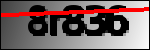 Testo da Identificare