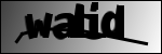Testo da Identificare